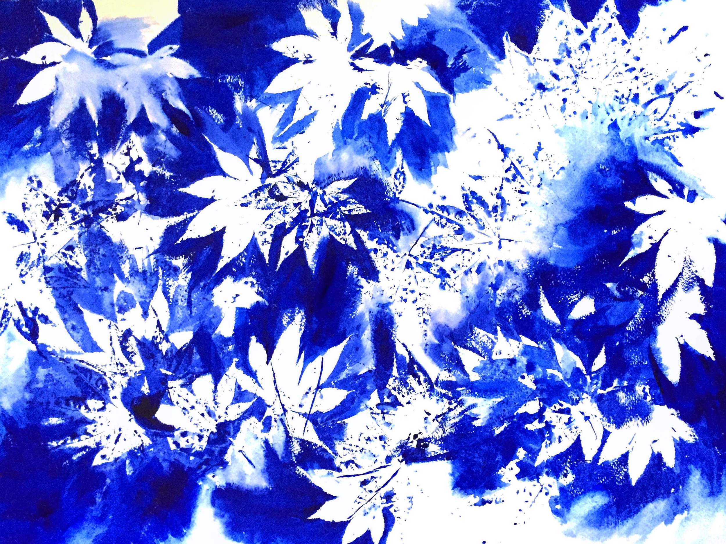 Horizontally oriented cyanotype print of white fern fronts and cobalt blue ovals of different sizes.