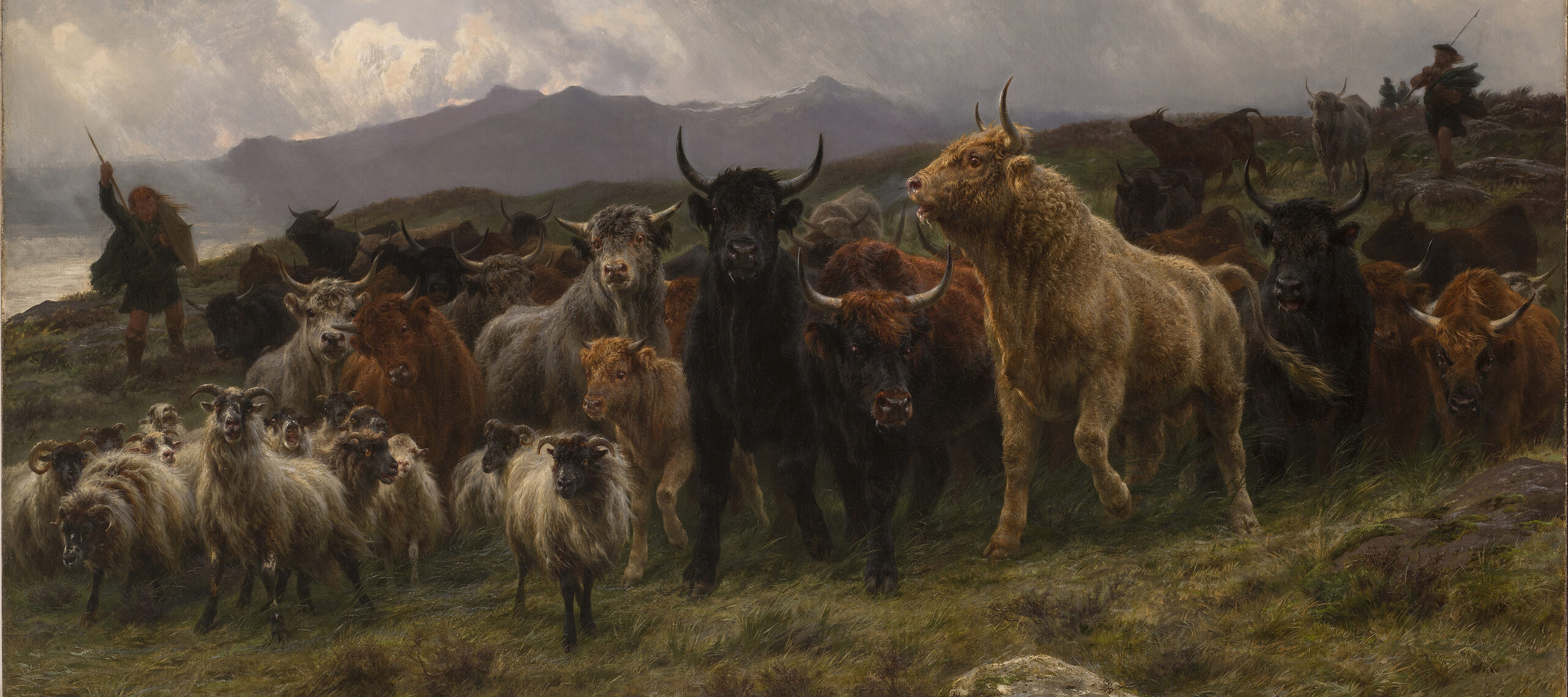 A large group of animals is herded by two shepherds on a grassy hill above the ocean. Black, tan, and red bulls crowd small white sheep with curled horns. The animals move nervously, their coats blowing in the wind. Clouds in the background suggest an impending storm.