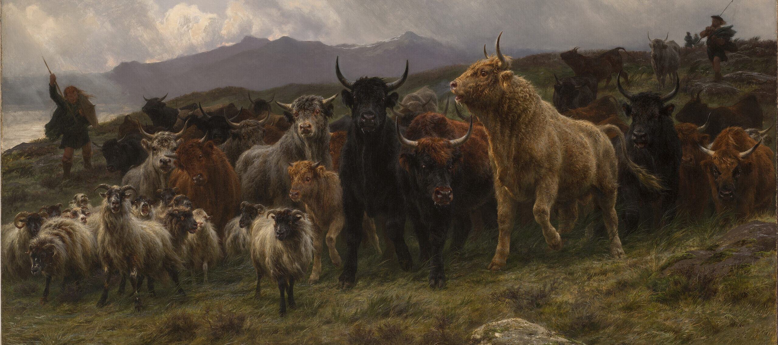 A large group of animals is herded by two shepherds on a grassy hill above the ocean. Black, tan, and red bulls crowd small white sheep with curled horns. The animals move nervously, their coats blowing in the wind. Clouds in the background suggest an impending storm.