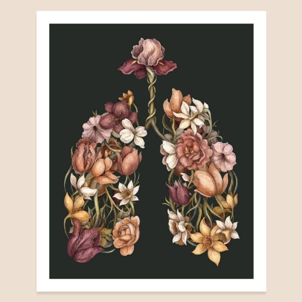 Shop Talk: Jessica Roux Illustration | Broad Strokes Blog | National ...