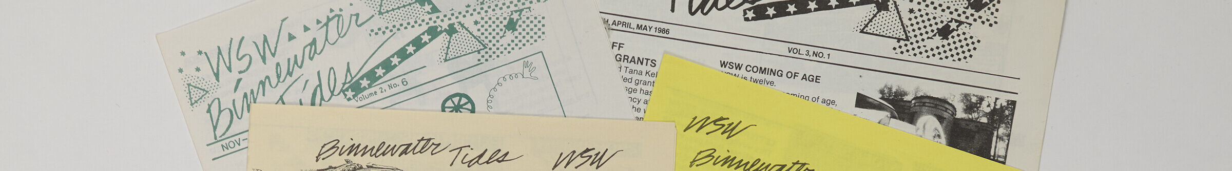 A collection of newsletters printed on light pink, blue, yellow, and white paper is arranged neatly on a white background.