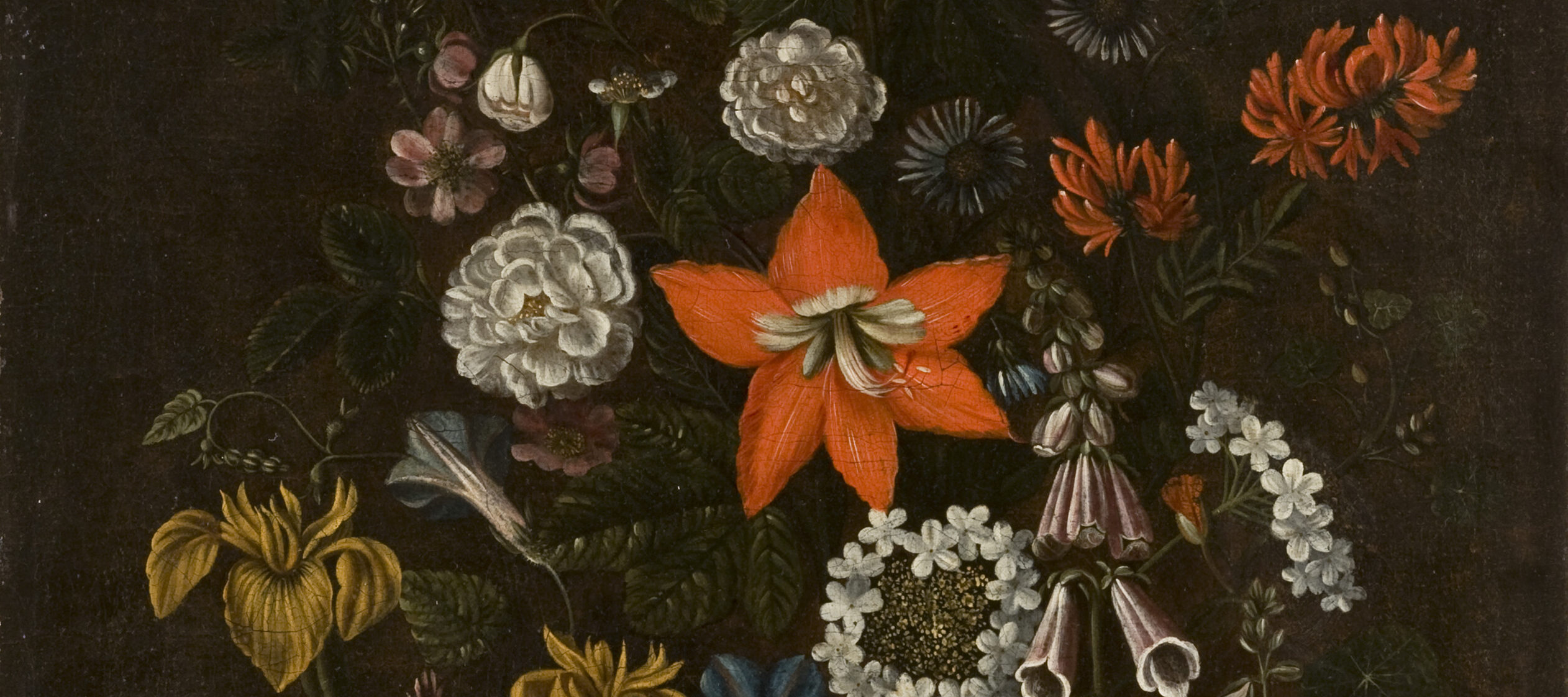 Alida Withoos, <em>Still Life with Irises, Morning Glory, Fox Gloves, a Red Lily and Other Flowers on a Forest Floor</em>, ca. 1700; Oil on canvas, 27 1/4 x 22 1/2 in.; National Museum of Women in the Arts, Gift of Wallace and Wilhelmina Holladay