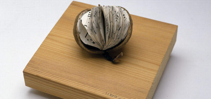 A brown, tropical fruit with a large segment of skin removed to reveal small, round pages of sheet music inside instead of fruit flesh. The book rests on a square woodblock with “libra—seme” printed in the bottom-right corner.