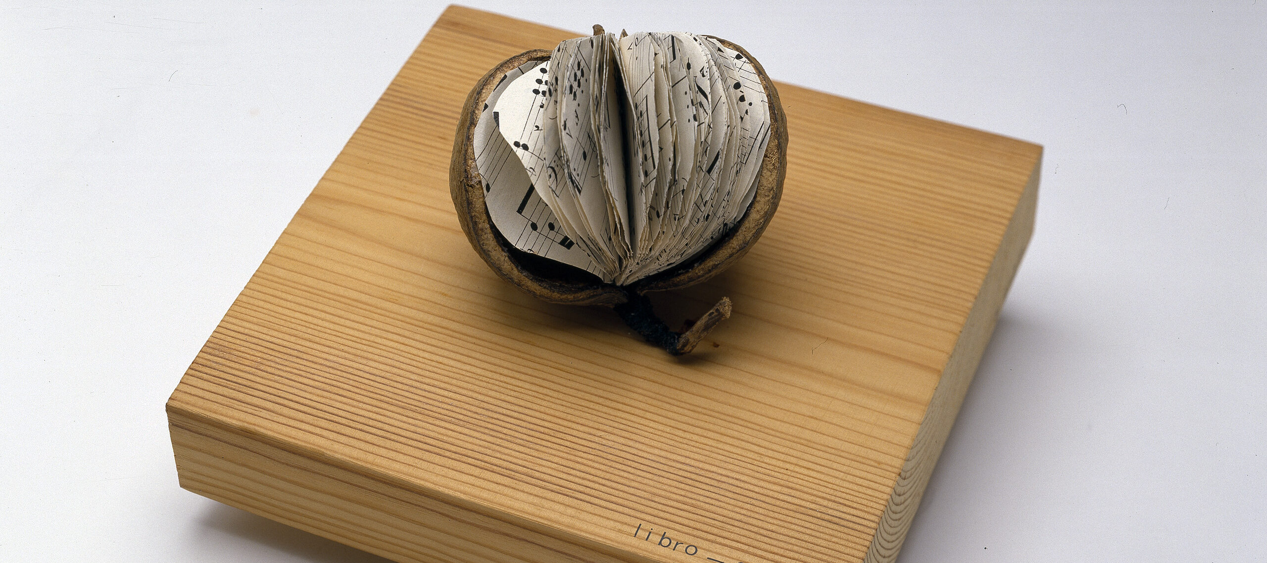 A brown, tropical fruit with a large segment of skin removed to reveal small, round pages of sheet music inside instead of fruit flesh. The book rests on a square woodblock with “libra—seme” printed in the bottom-right corner.