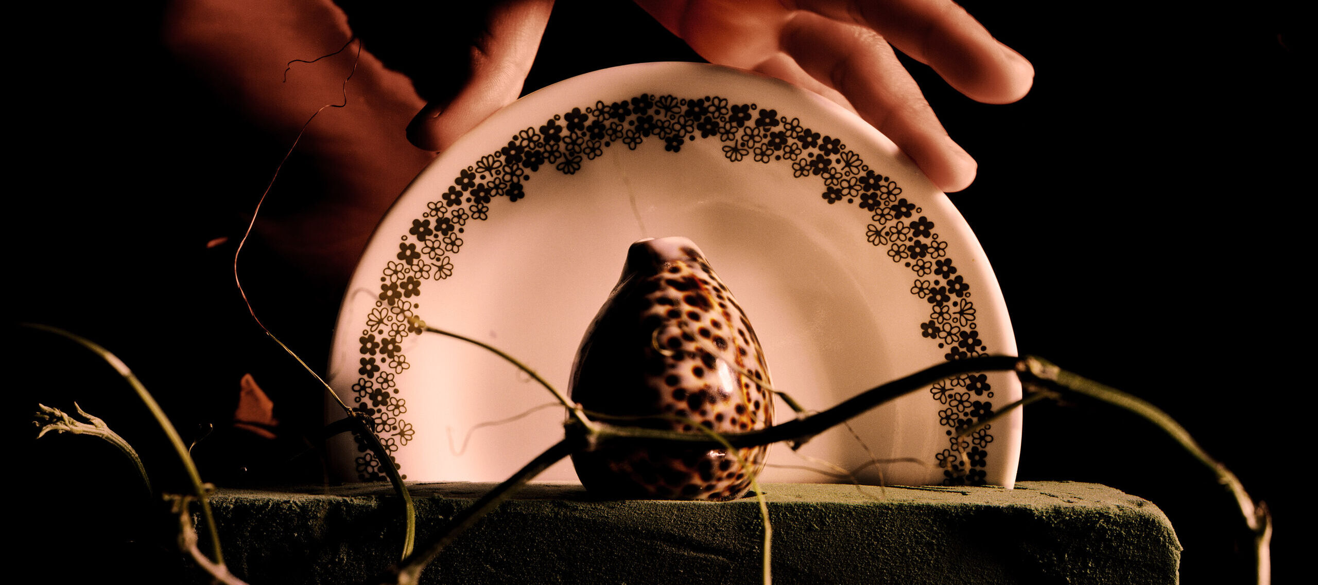 A hand holds a decorative plate with a shell on it. The setup includes a textured surface resembling sand, germinating plants, and a small black-and-white photo of people in a landscape.